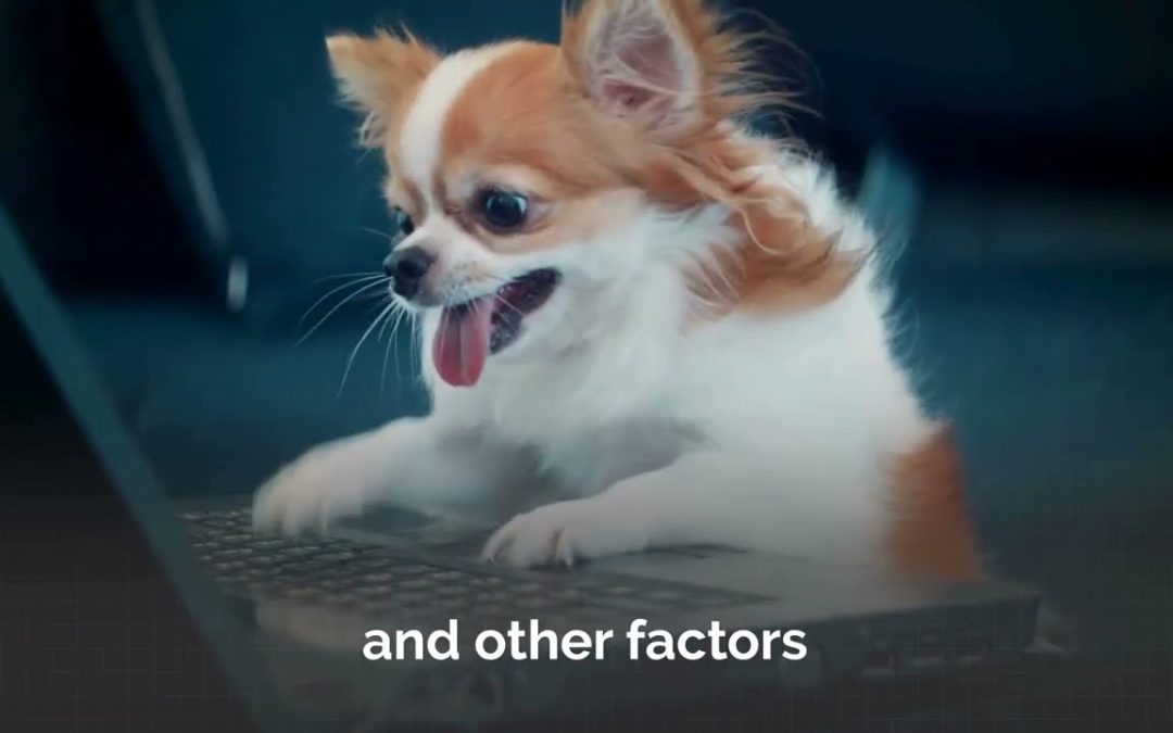 Why Organizations Need an MSP (Managed Service Partner) Nomerel IT Services Tulsa