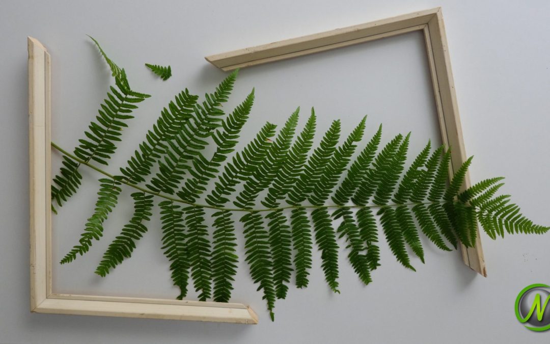 Signs You’ve Outgrown Your IT Setup—And What to Do Next